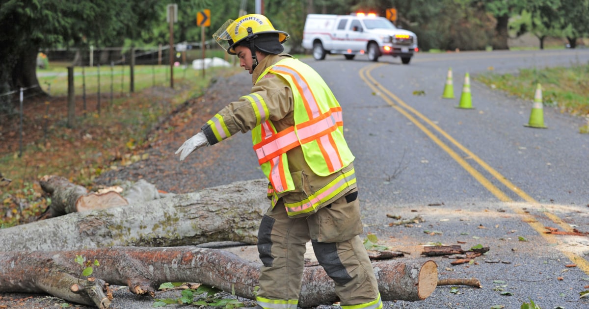 Pacific Northwest Escapes Storm's Fury With Toppled Trees, Power Outages