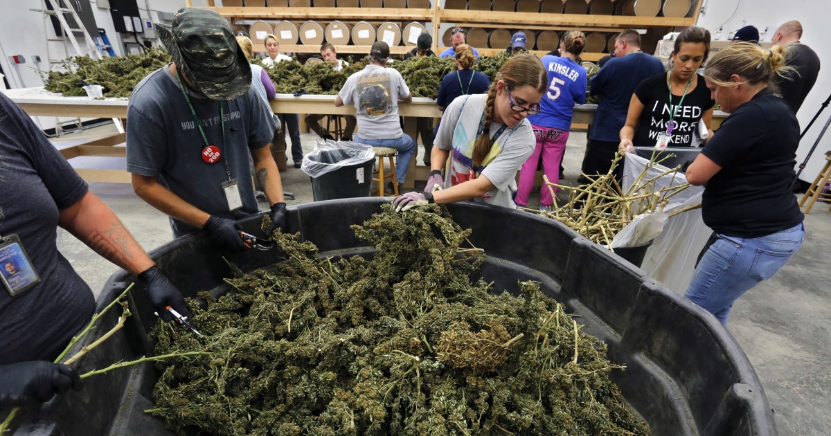 New Poll Finds Majority of Americans Have Smoked Marijuana