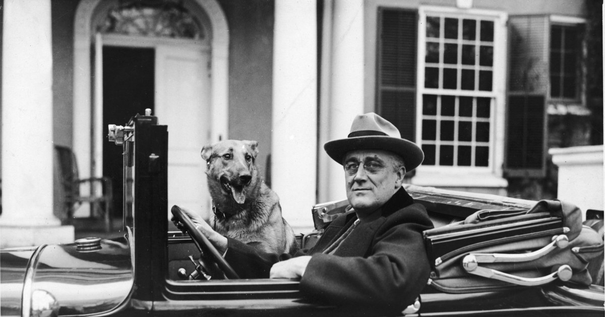 First Pets Dogs, Cats and a Raccoon Among Past Presidential Best Friends