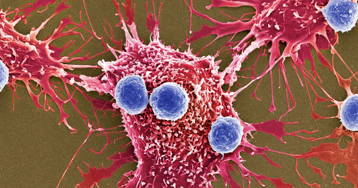 4 Ways this revolutionary gene-editing tool could change the world