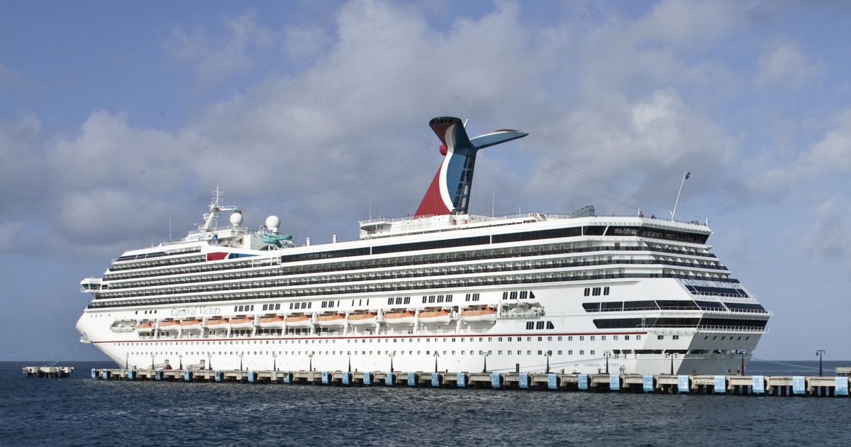 Coast Guard Suspends Search for Missing Cruise Ship Passenger