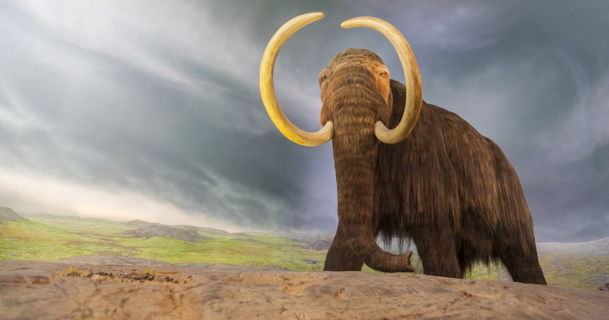 Mastodon Bone Findings Could Upend Our Understanding of Human History