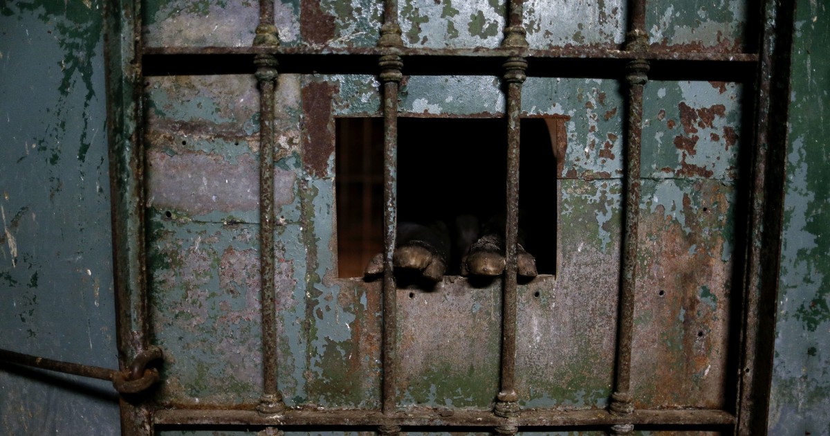 Caged up. Caged up