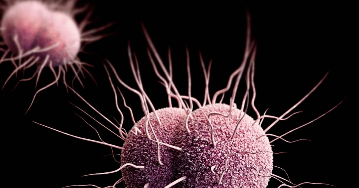Untreatable gonorrhoea appears as antibiotic resistance grows