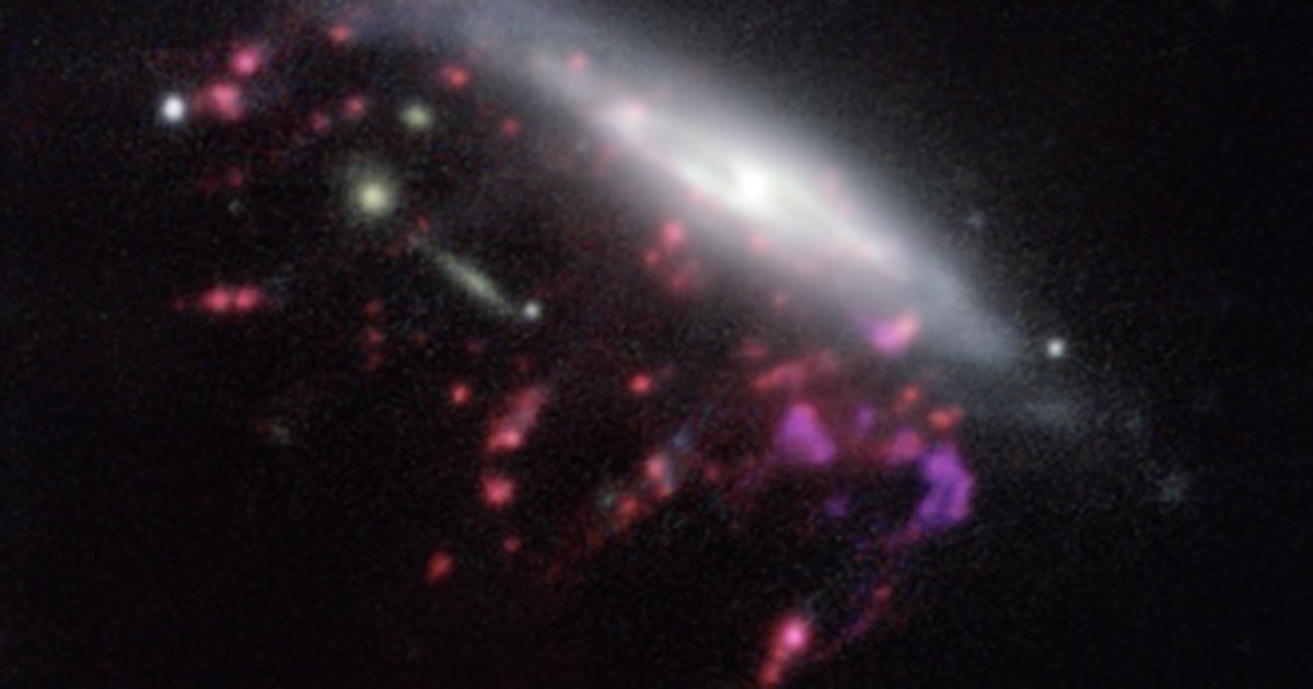 Jellyfish' Galaxies May Help Solve Mystery of Monster Black Holes