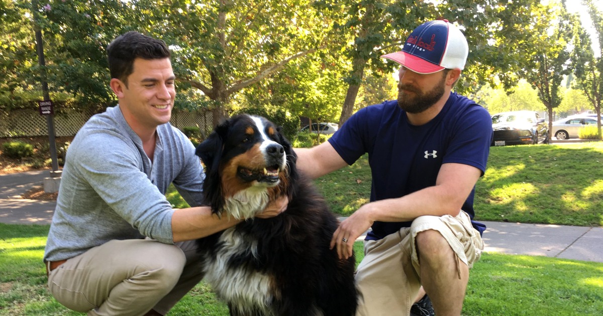 Family Finds Beloved Dog Alive After Believed Lost to California Wildfires