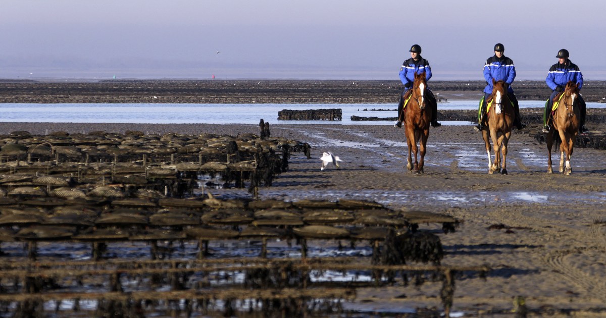 Spy oysters and drones: How France is fighting food thieves