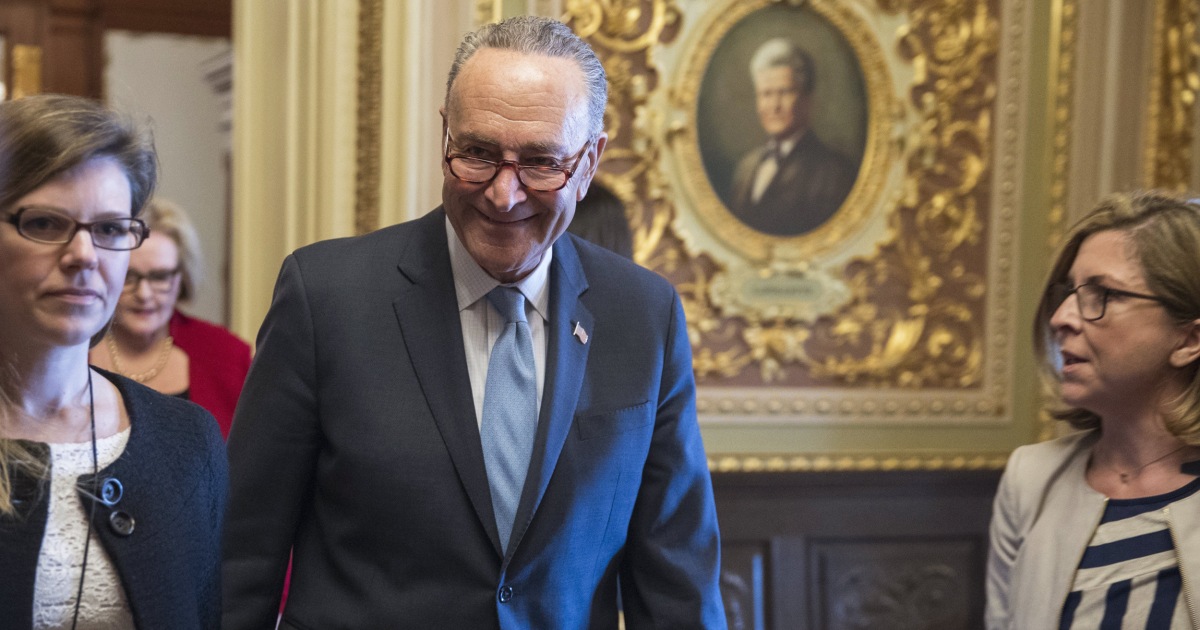 Schumer: Democrats 'cannot just run against Donald Trump