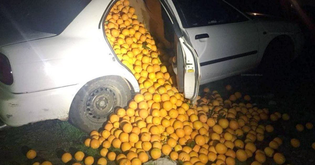 Spanish police find 8,000lbs of stolen oranges in traffic stop