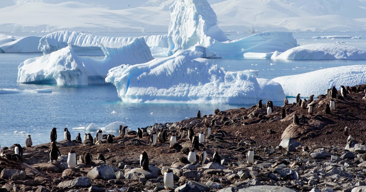 Glacial beauty on a journey to Antarctica