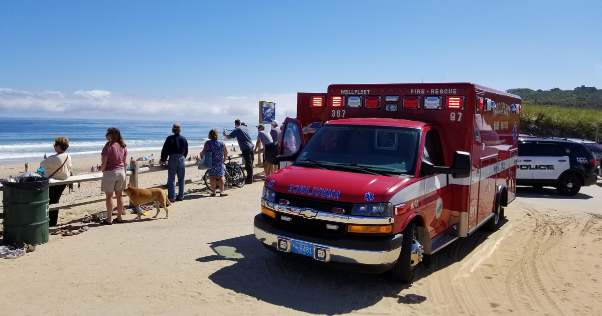 Man In Cape Cod Killed In First Fatal Shark Attack Since 2015