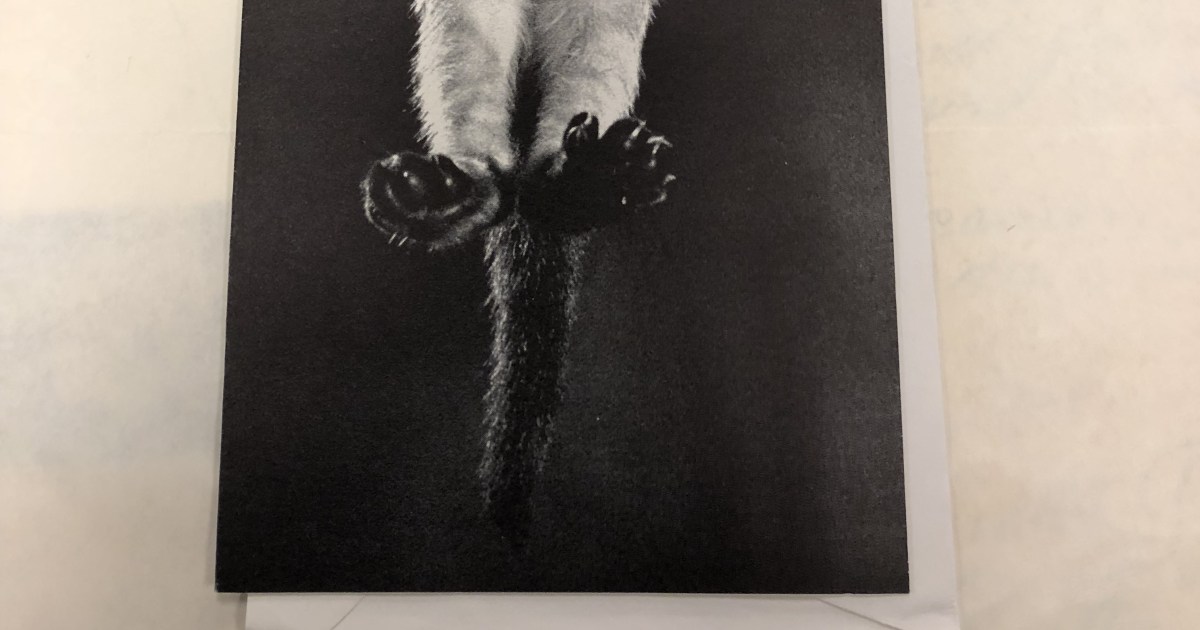 Bag Man Episode 3 supplemental materials