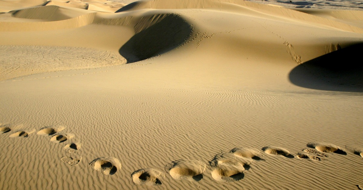 Would flooding the deserts help stop global warming?