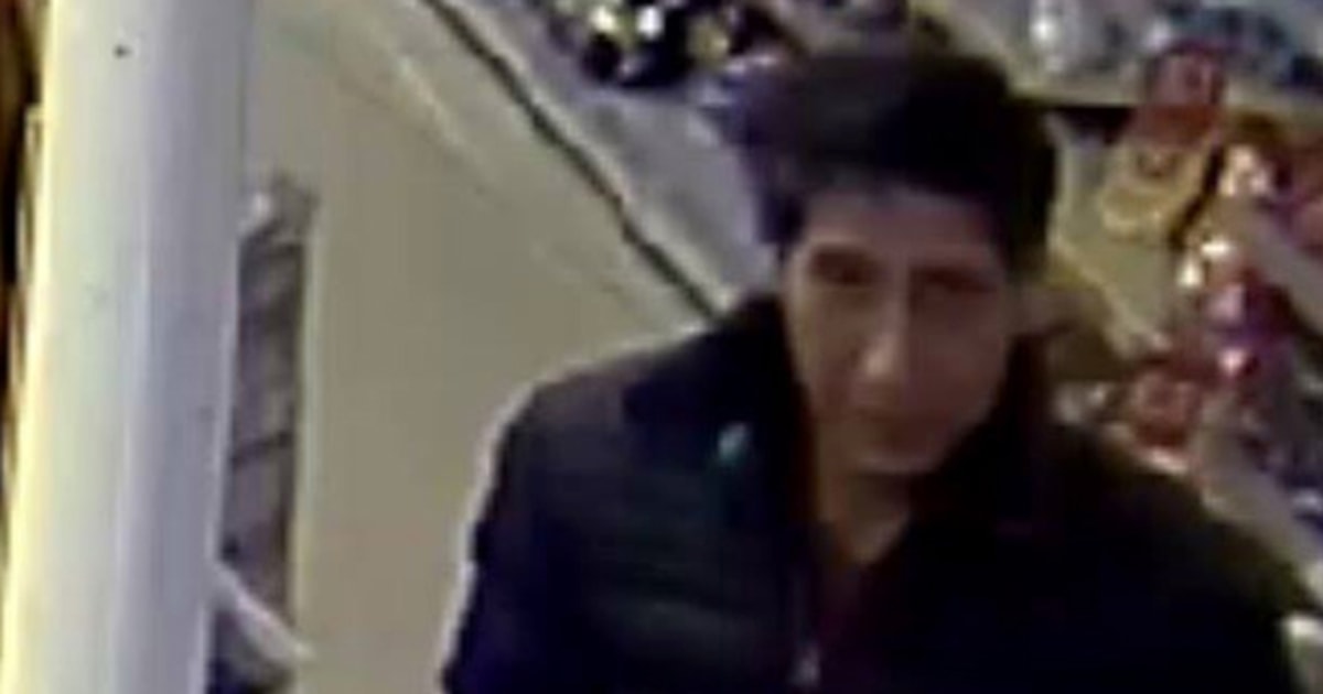 David Schwimmers Friends Lookalike Thief Busted By British Police 9637