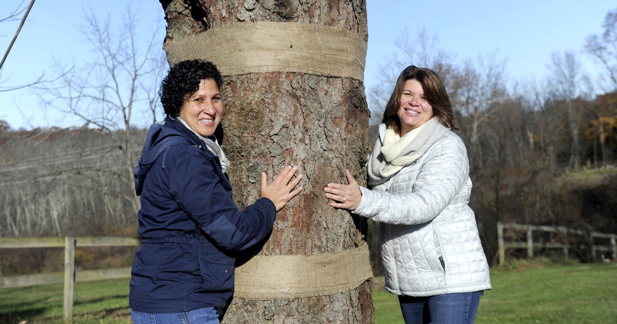 Rockefeller Center Christmas tree donated by lesbian Latina couple