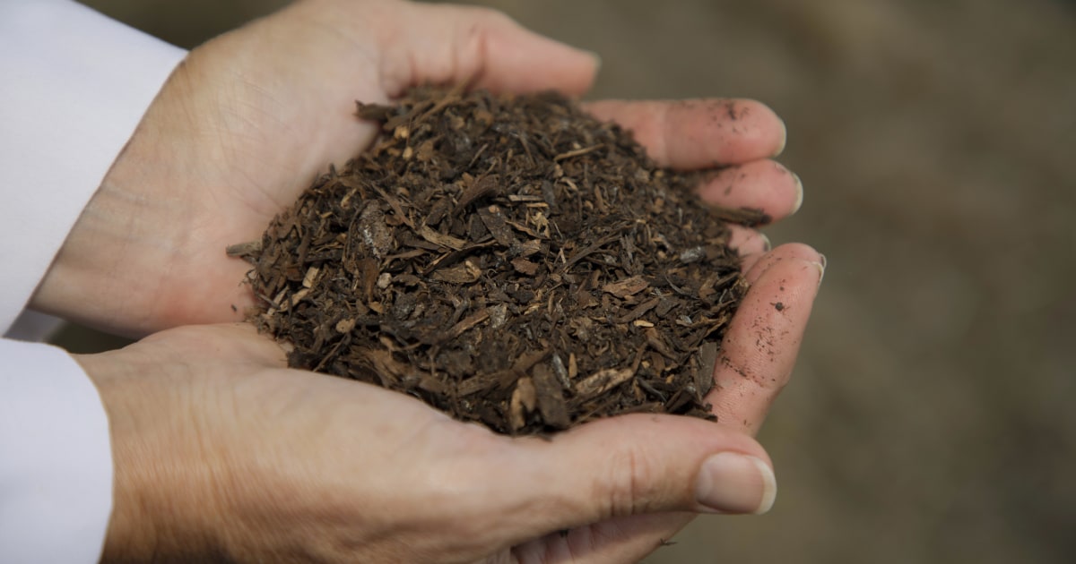 Washington could become the first state to legalize human composting