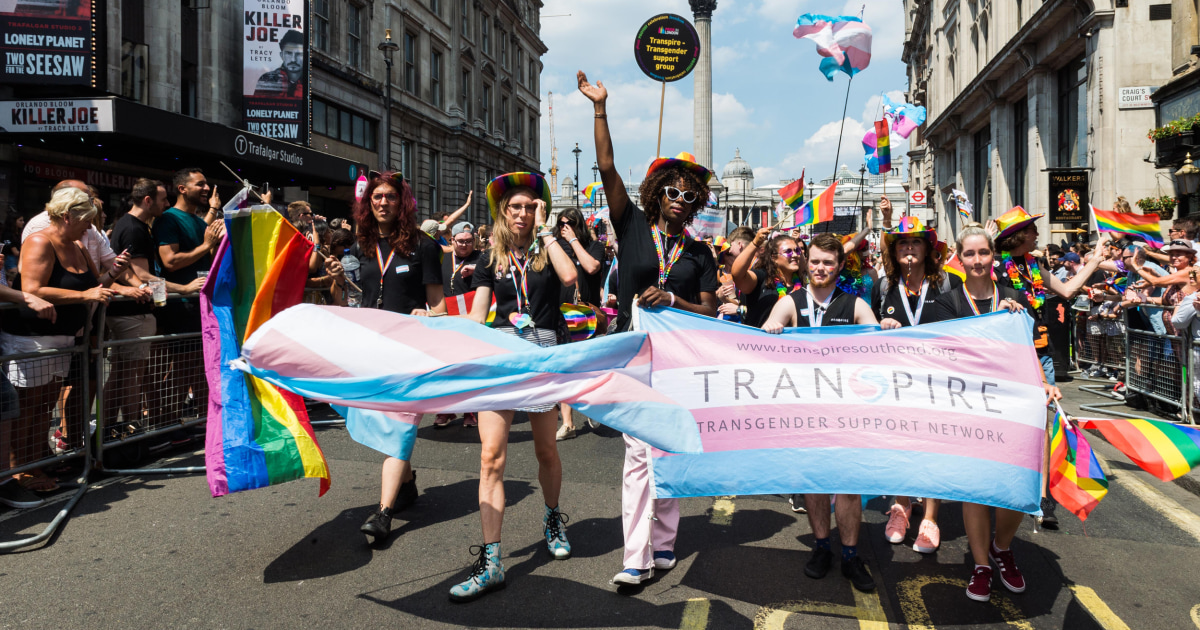 Lgbt Flags Transgender Womens T-Shirt Sex Trans Lesbian Bi Gay Pride 