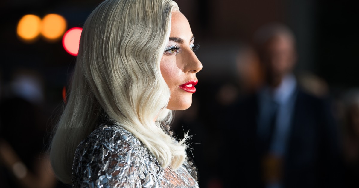 Lady gaga personal life image