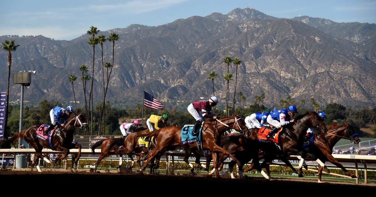 Santa Anita Park To Remain Open After Three More Horses Die   190226 Santa Anita Park Horse Racing Cs 409p 