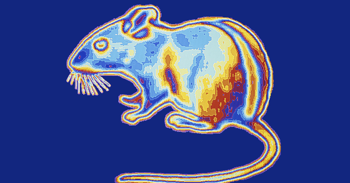 Scientists create mice with night vision. Here's what that means for ...