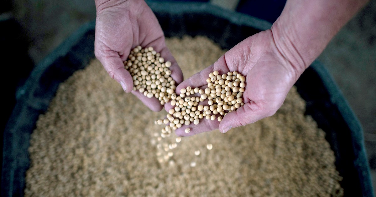 Trump leaves farmers reeling by intensifying trade war with China