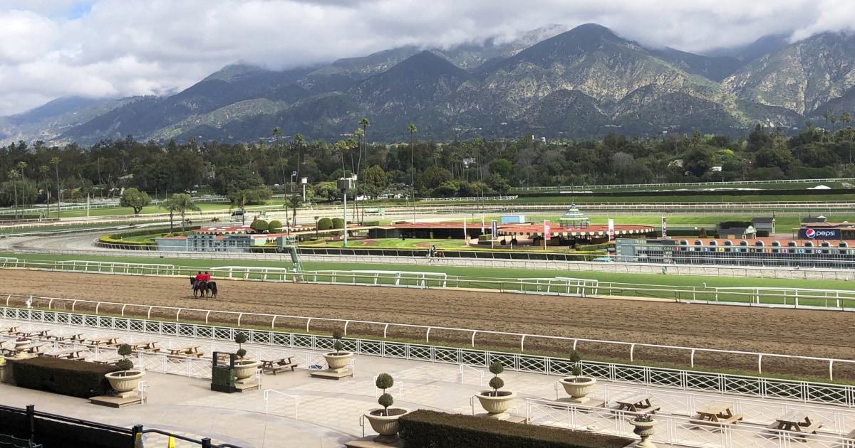 Another Horse Dies After Injury At Santa Anita Park 24th Since December   Stronach Group Horse Racing 15283 Jpg 50b1b 