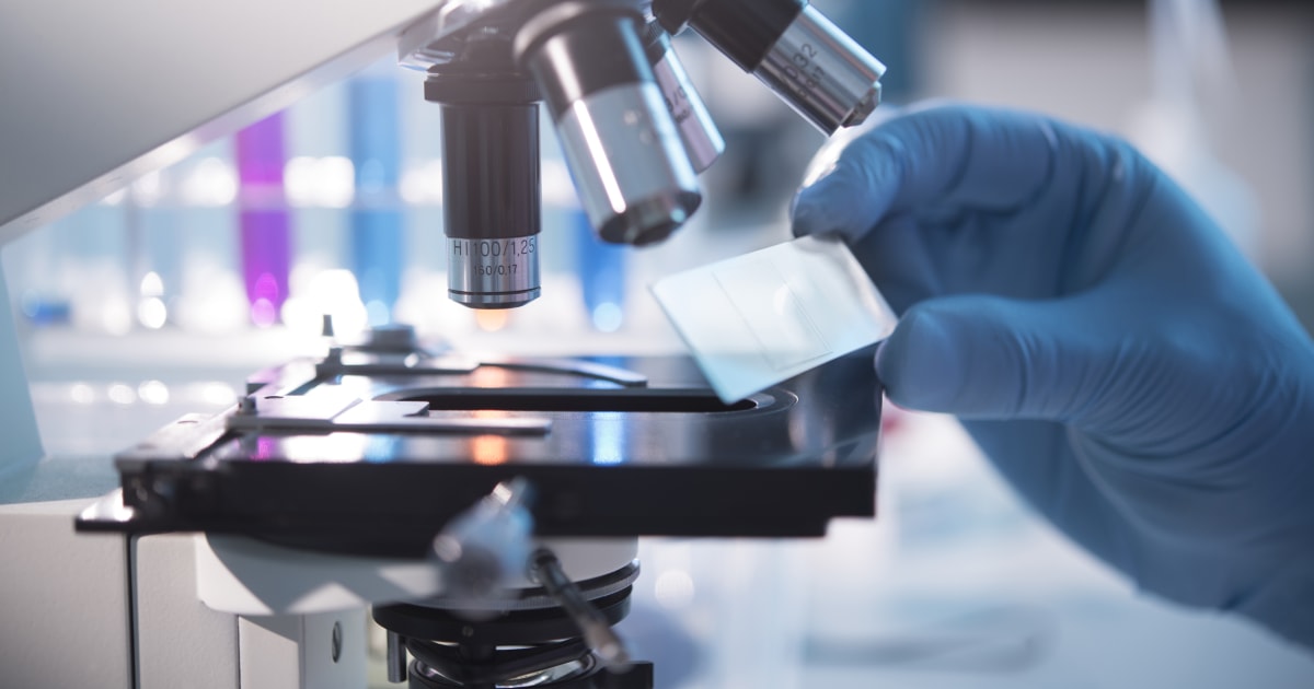 wallpapers What Do Scientists Use To Look At Cells https www nbcnews com health health news what fetal tissue research why it important medicine n1014481