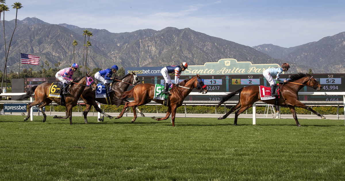 26th horse death at Santa Anita track prompts calls for a halt to racing