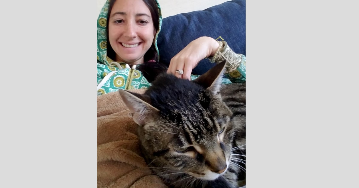 Cat stolen by nanny is returned to owners who wanted to euthanize it(01)