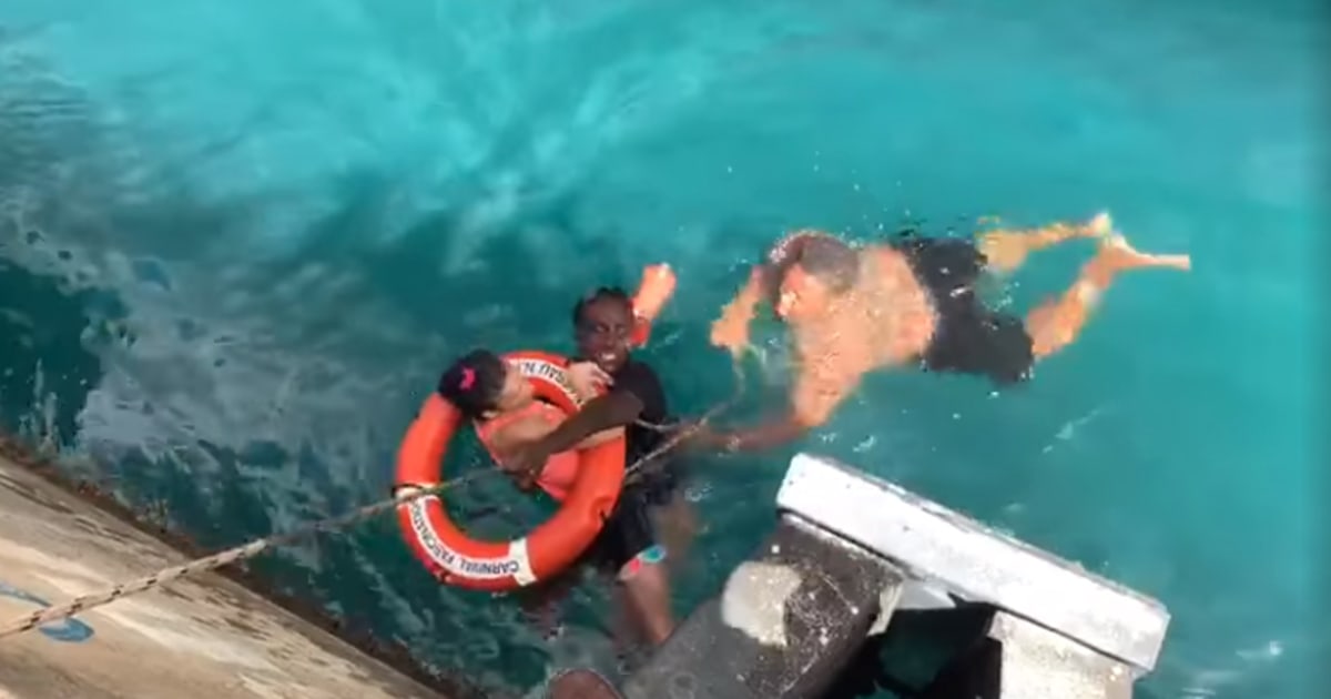 Video shows rescue of cruiseship passenger in wheelchair who fell from