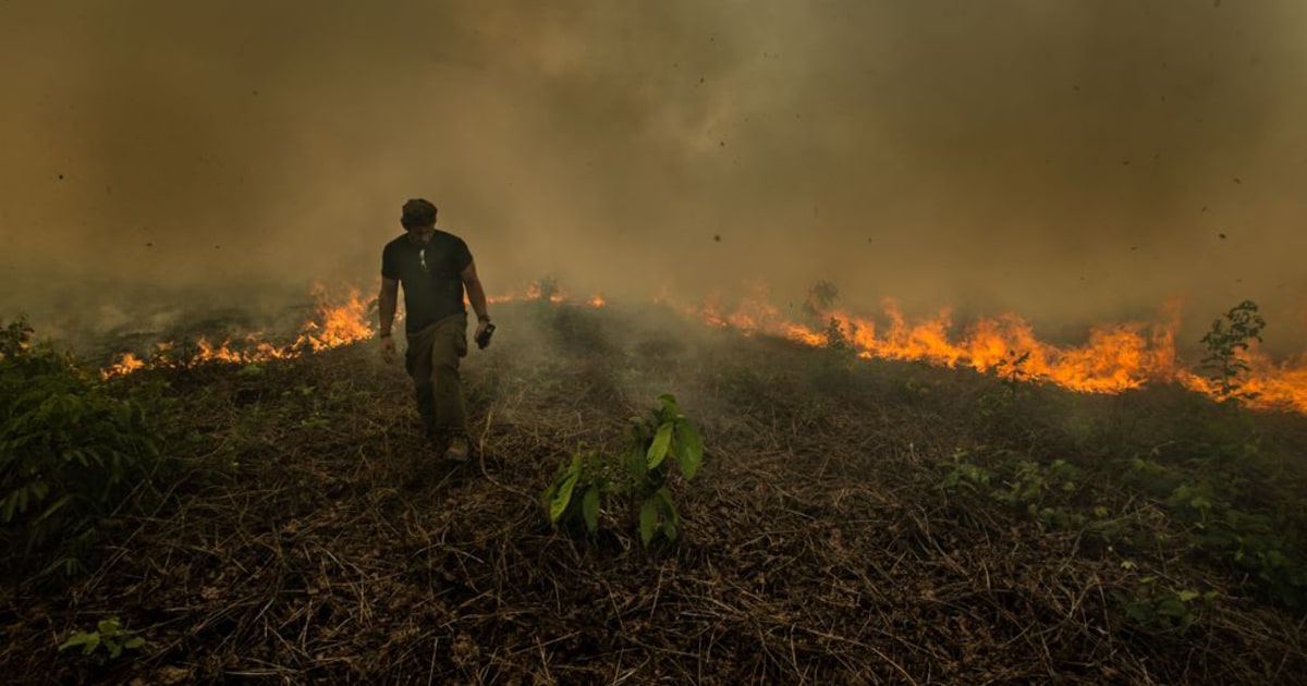 Climate change, oxygen and biodiversity: Amazon rainforest fires leave