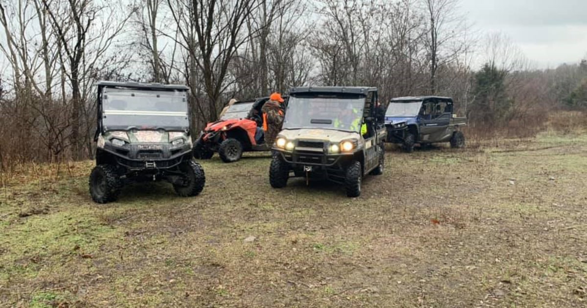 14 horses found shot to death in Kentucky in 'heartbreaking' mystery