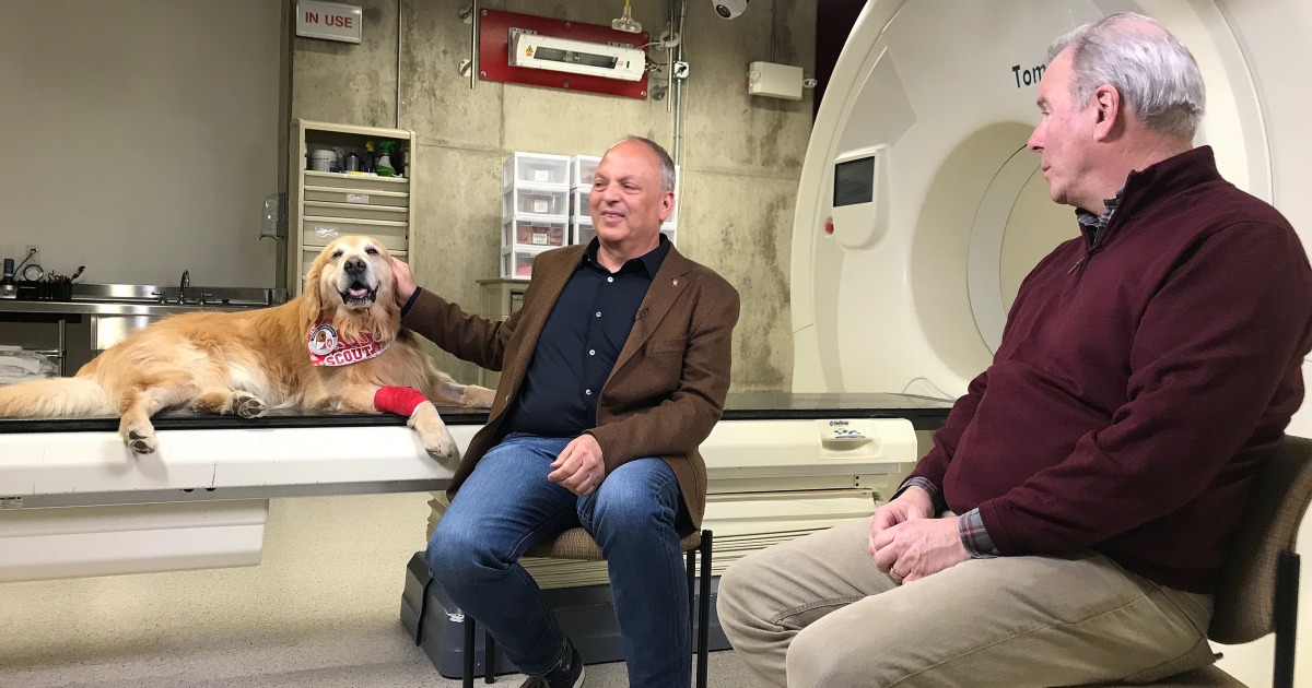 'A very good boy' Cancer survivor dog will promote animal health in 6