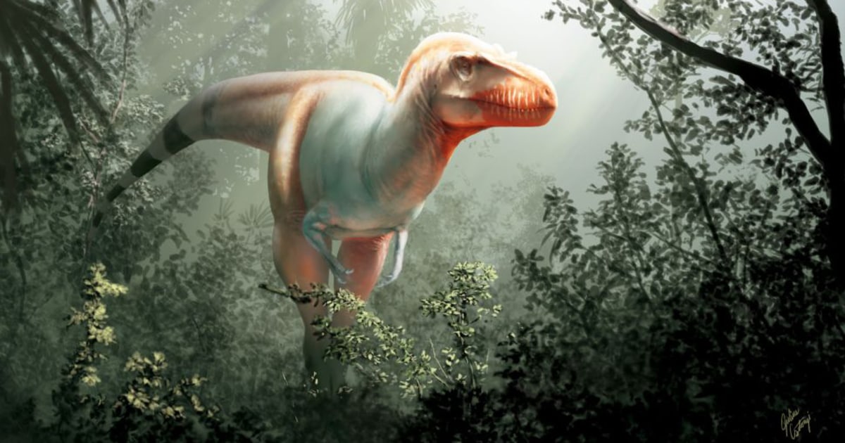 A newfound dinosaur had tiny arms before T. rex made them cool