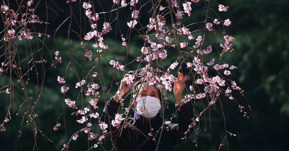 Why the Northern Hemisphere is about to have its earliest spring in 124 ...