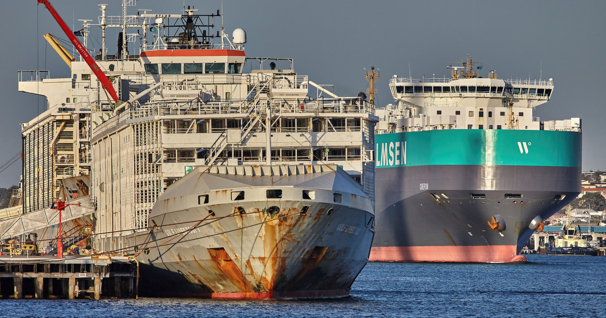 Ship carrying 6,000 cattle, 43 crew capsized in storm off Japan
