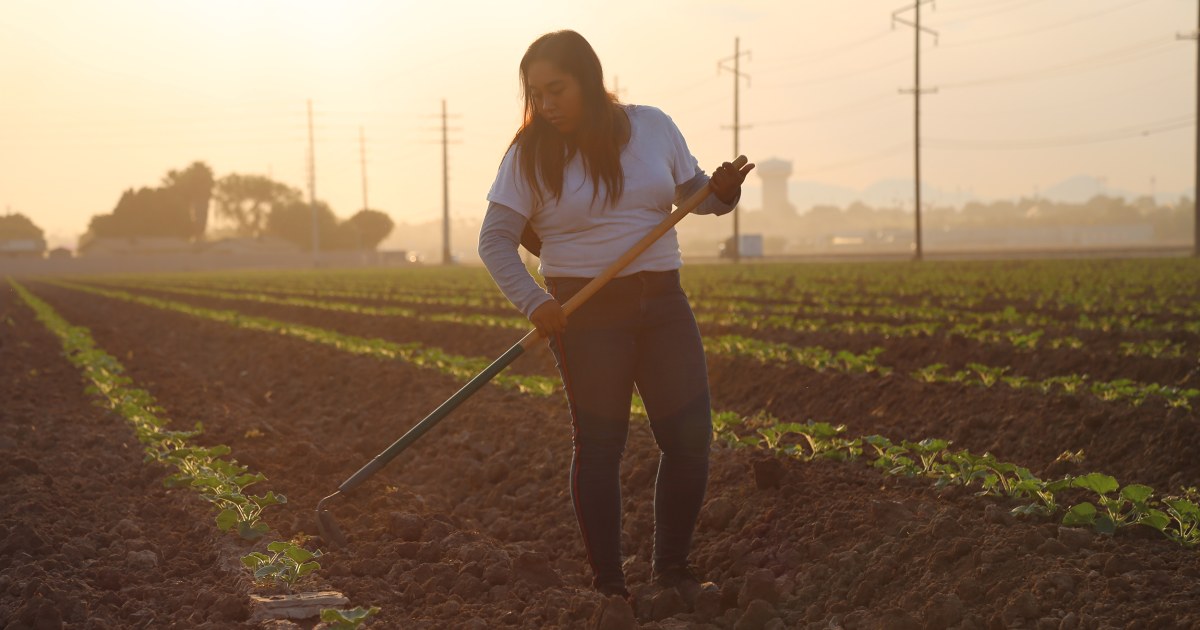 From the fields to the classroom: Inside the lives of U.S. agriculture's youngest workers