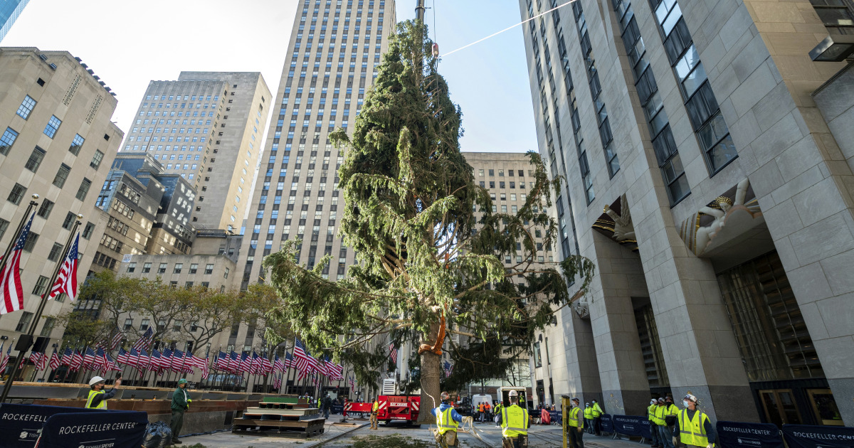 6 NYC Christmas Trees Worth Visiting in 2020