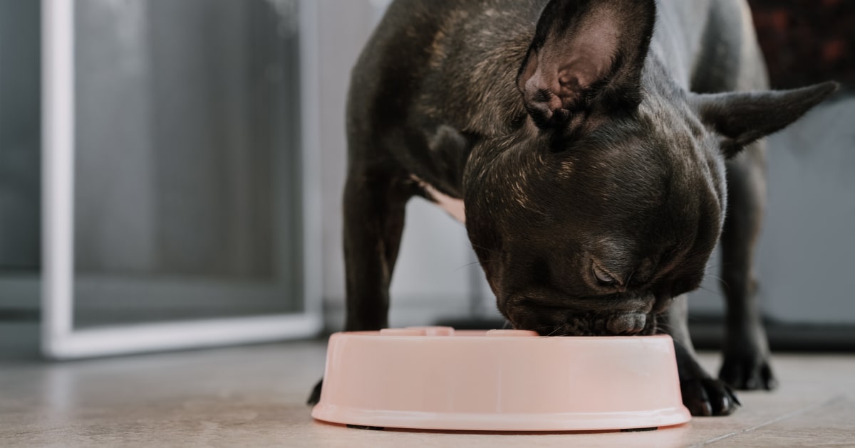 Certain pet foods recalled after reports of 28 dog deaths, FDA warns