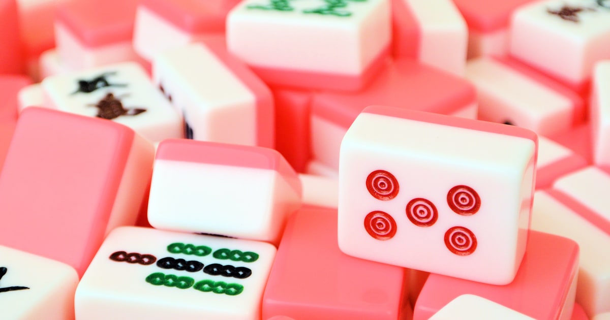 Mahjong and Chill Mahjong Tile Bag Mah Jongg Bag Bag For Mahjong Tiles Mahjong Bags For Tiles