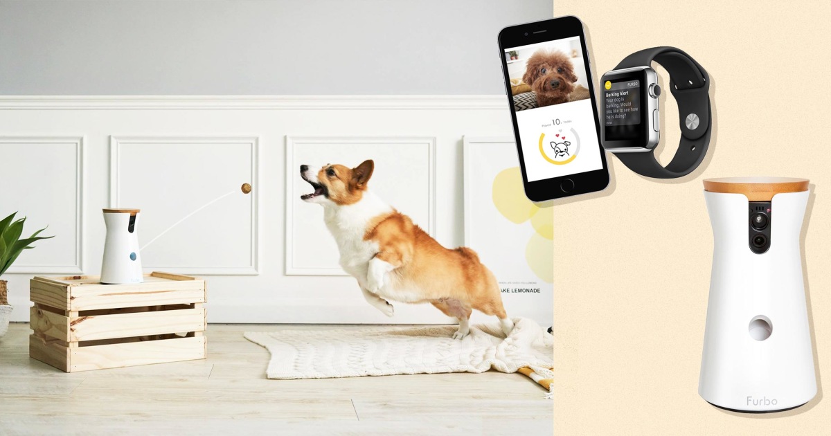 WOpet Dog Treat Camera Dispenser Dog Camera with Treat Interactive  Toy丨Guardian