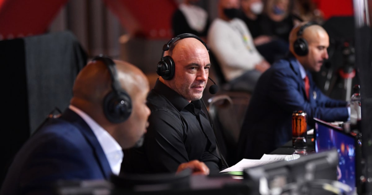 Joe rogan net worth picture