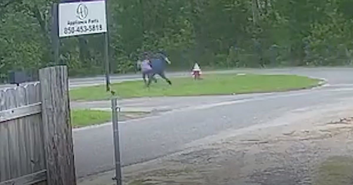 11-year-old Girl Fights Back, Escapes Attempted Abduction At Florida ...