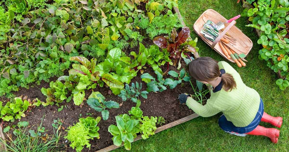 Grow bags are a lightweight, mobile option for gardeners