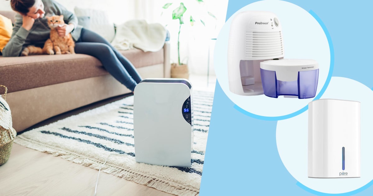 Pick Up This Top-Rated Dehumidifier For Less Than $60 on