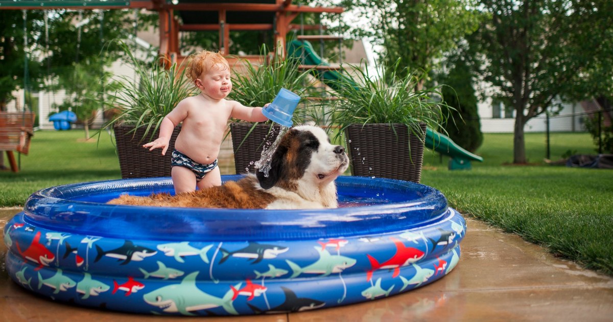 How heat impacts dogs and the 10 best products to help