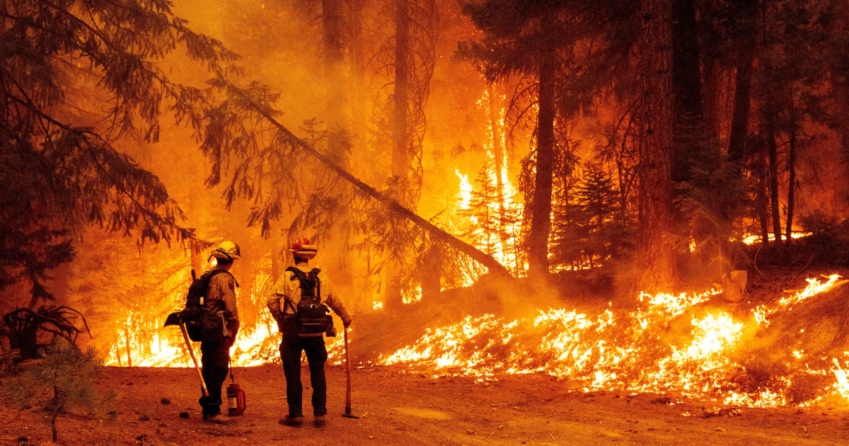 California's Dixie Fire destroys homes as blazes continue