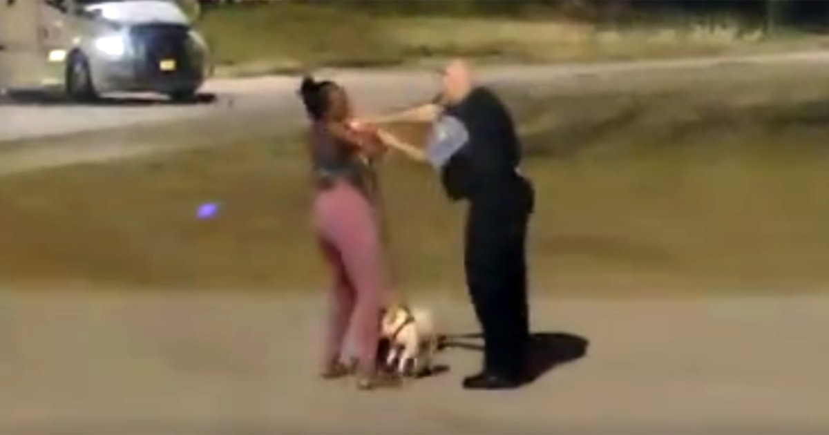 Video clips capture face among Chicago law enforcement officer and Black girl walking a puppy