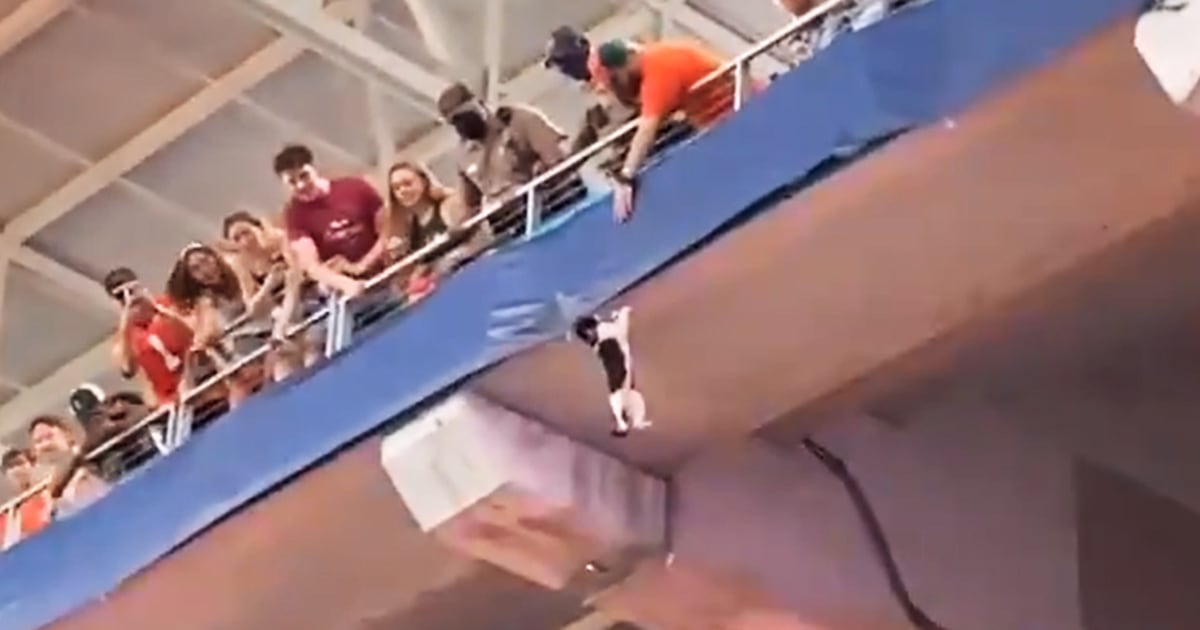 Video shows Florida football fans use a U.S. flag to rescue cat that fell from upper deck