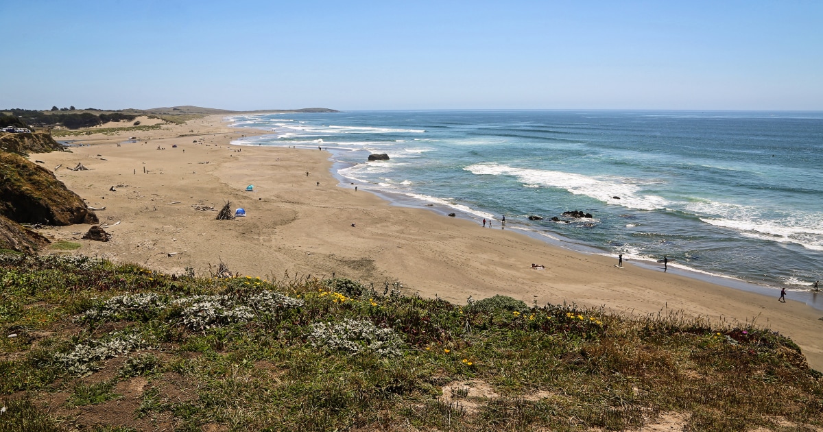 Man survives shark attack after other surfers rush to his aid in Northern California
